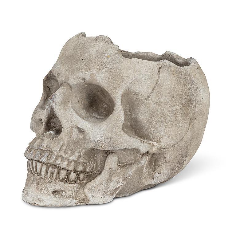 Skull planter
