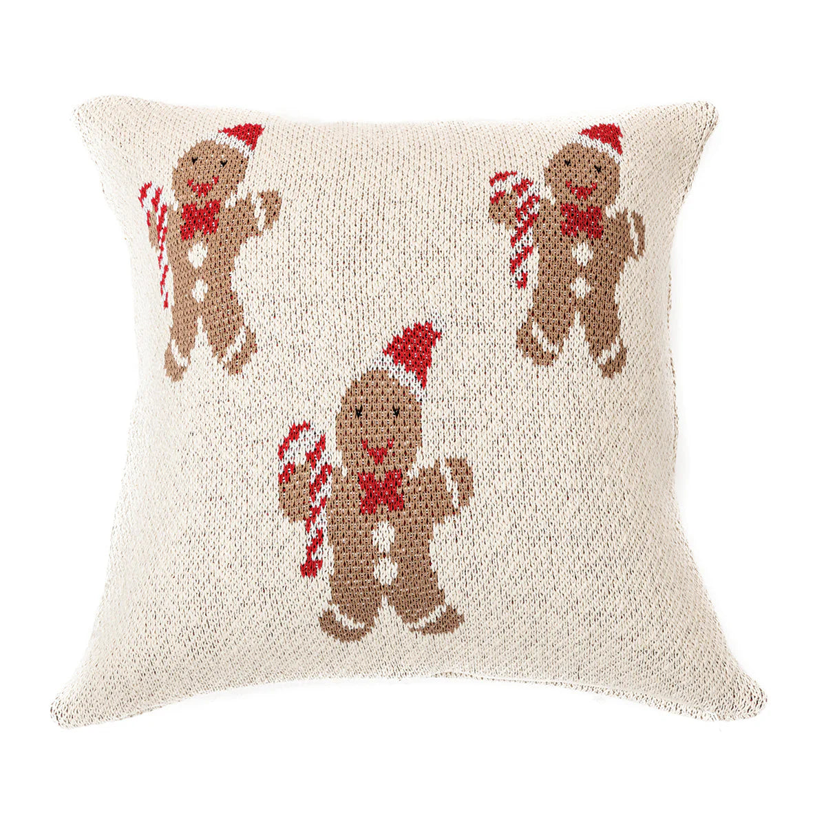 Bonhomme Cushion 18 x 18