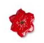 Festive bloom plate