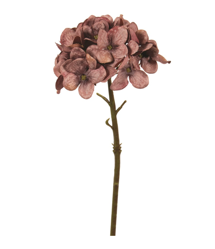 Pick Plum Hydrangea