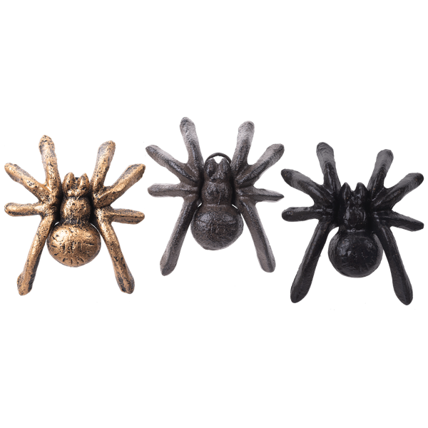 Small Spider