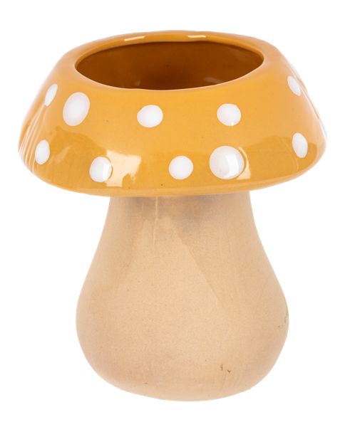 Mushroom Planter