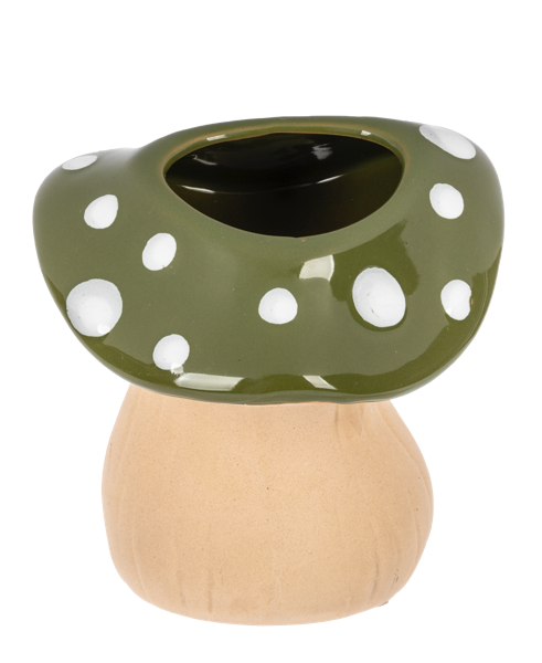 Mushroom Planter