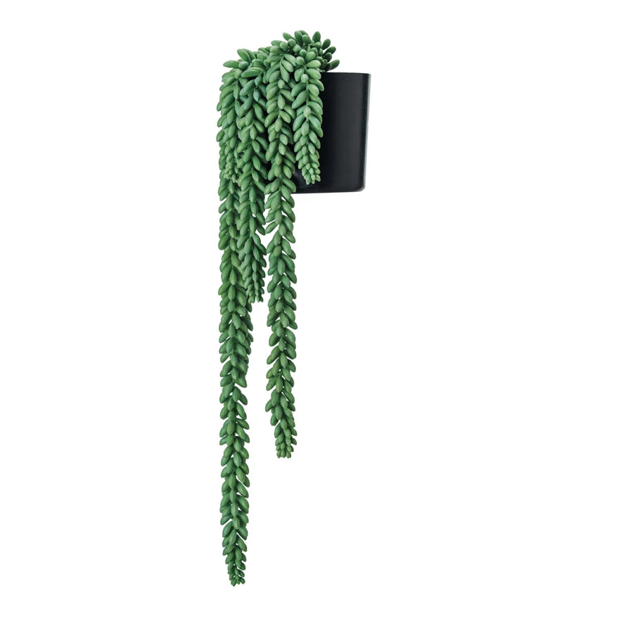 artificial donkey tail succulent Faux Donkey Tail Plant – Pear Home Orangeville