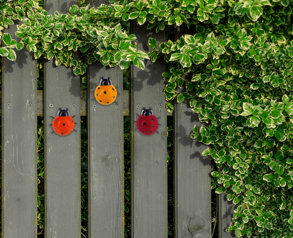 Lucky Ladybug Wall Decor