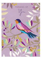 Get Well/ Sympathy Cards