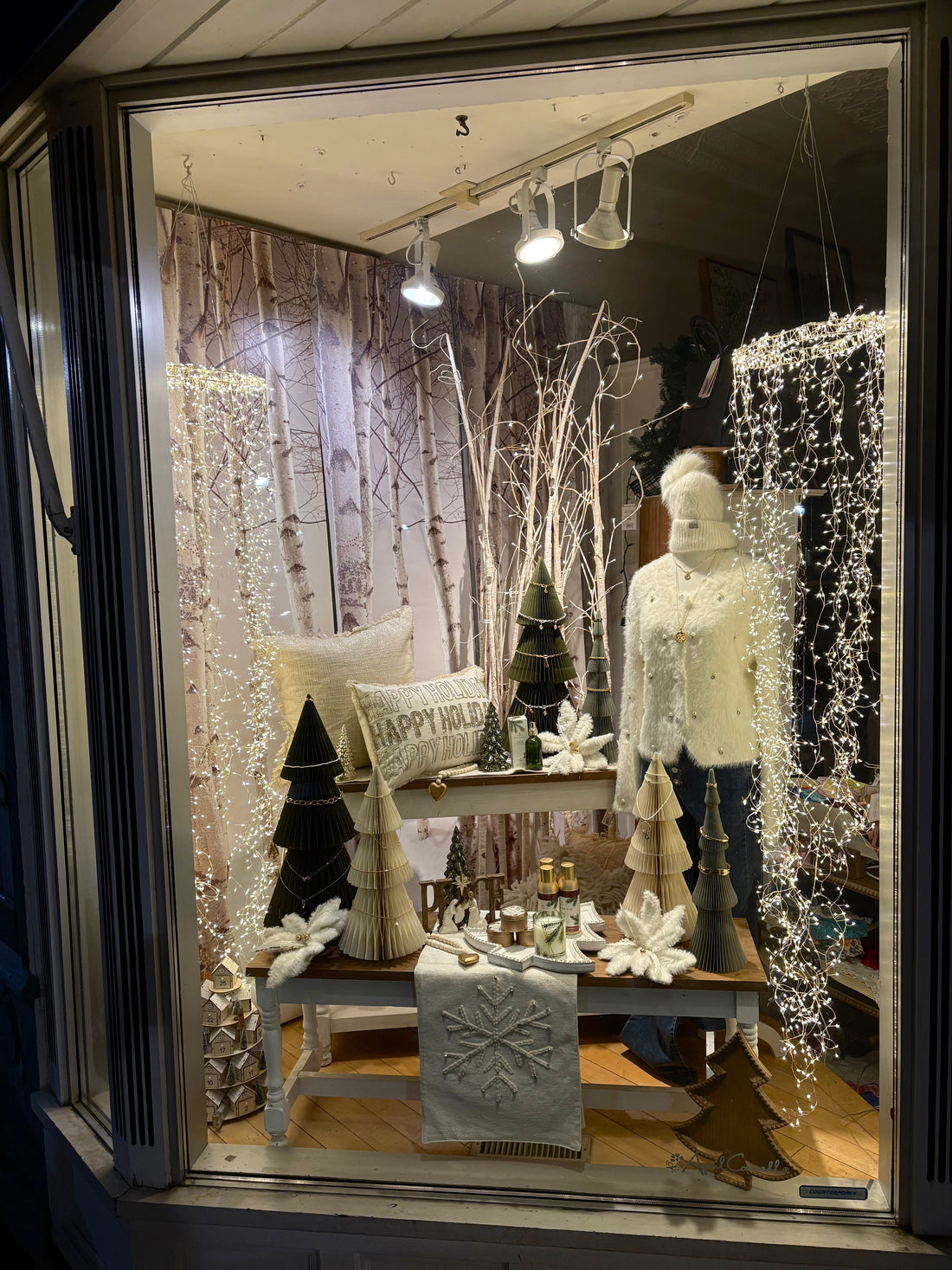Check out our Christmas Window