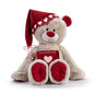 Holiday Kindness Bear