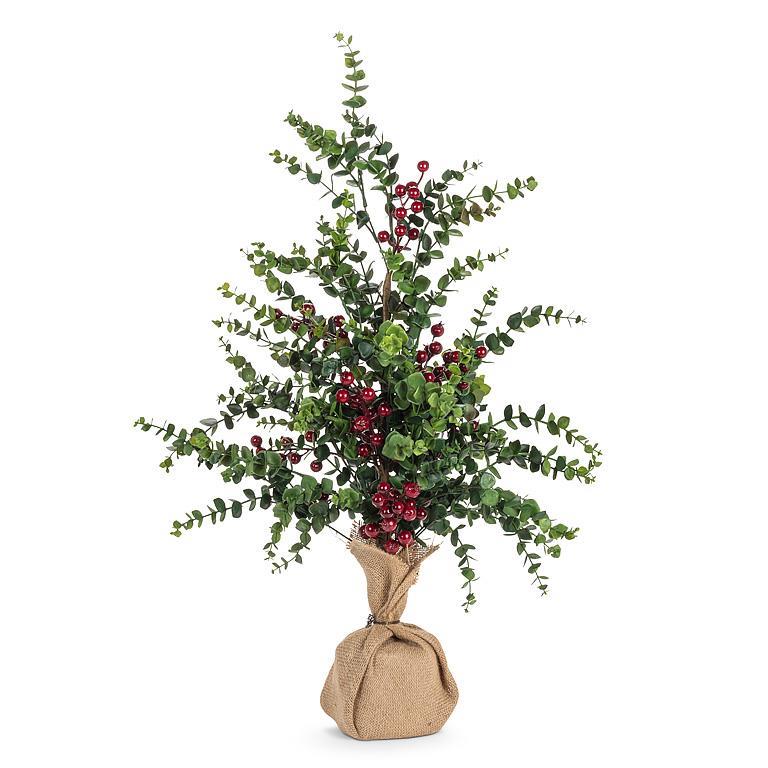 eucalyptus And berries tree