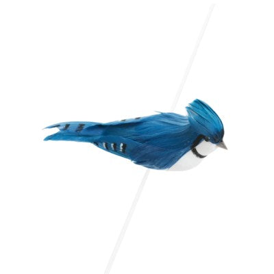 BIRD BLUE JAY W/CLIP FOAM/FEATHER BLUE 2X5.5 3270327