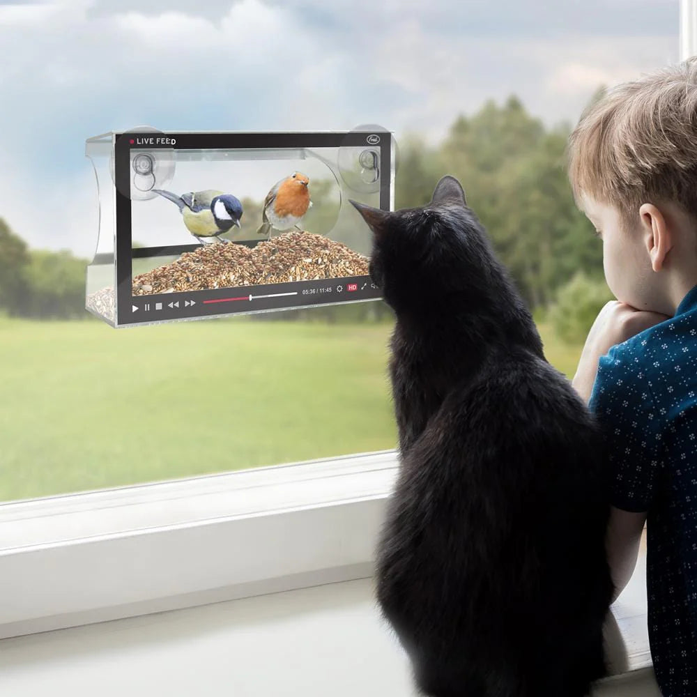 Live Feed Bird Feeder 5279968