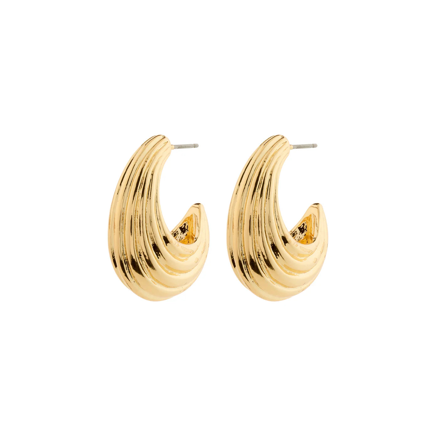 ASLE earrings