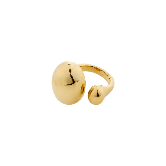 ALVIN ring