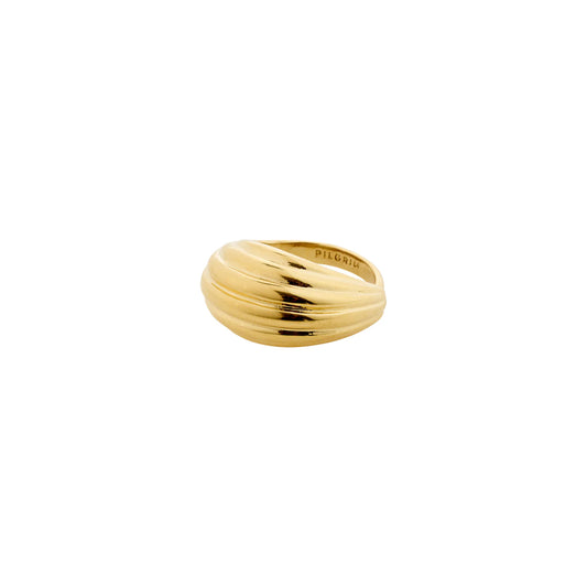 ASLE ring