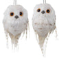 White owl orn