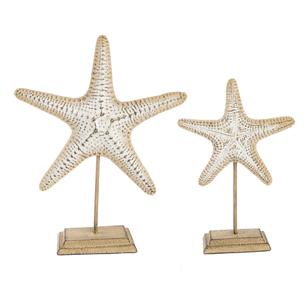 Ombre Starfish on Stand