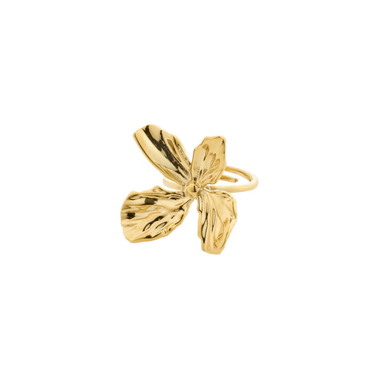 DREAM statement ring