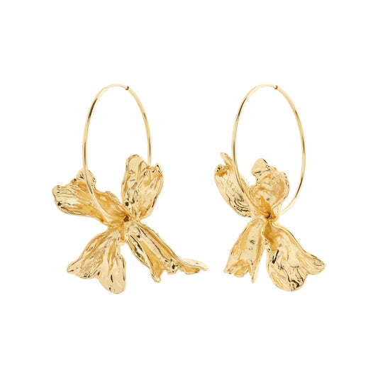 DREAM hoops