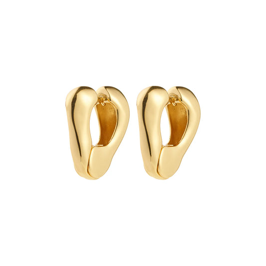 FREE earrings  A15