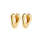 FREE earrings  A15