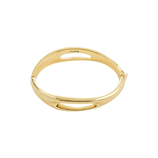 FREE bangle A17
