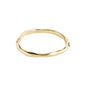 HARRISON bangle A19