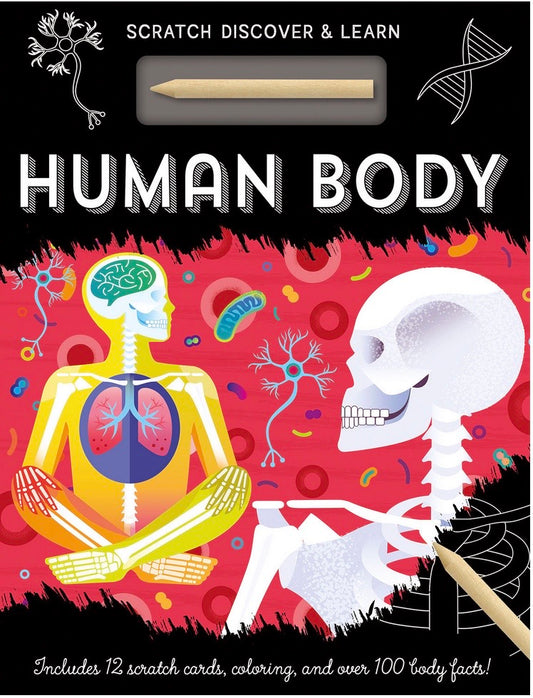 discover human body