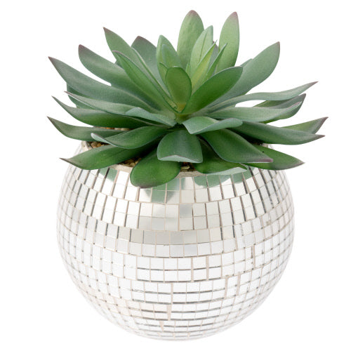 Disco succulent pot large