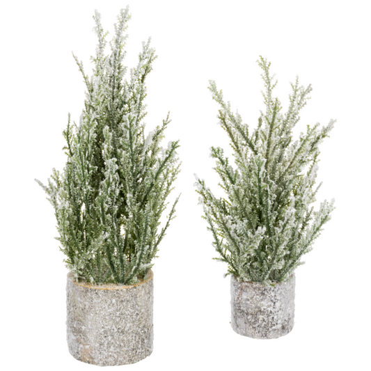 MINI XMS PINE TREE 2PCST PLSTC