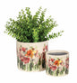 Multi Flower Pots
