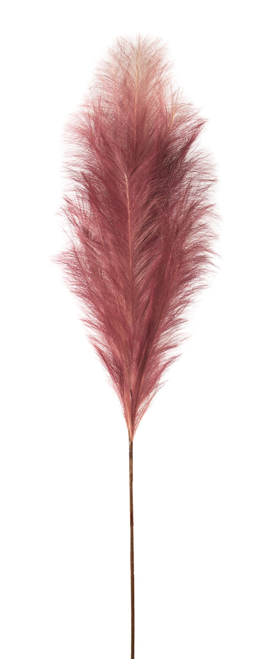 Plum pampas spray.