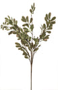 Variegated leaves spray with pink tips