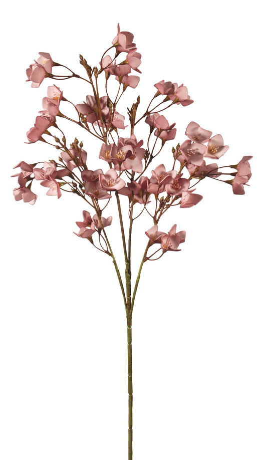 Plum multi-branch foam blossom spray.