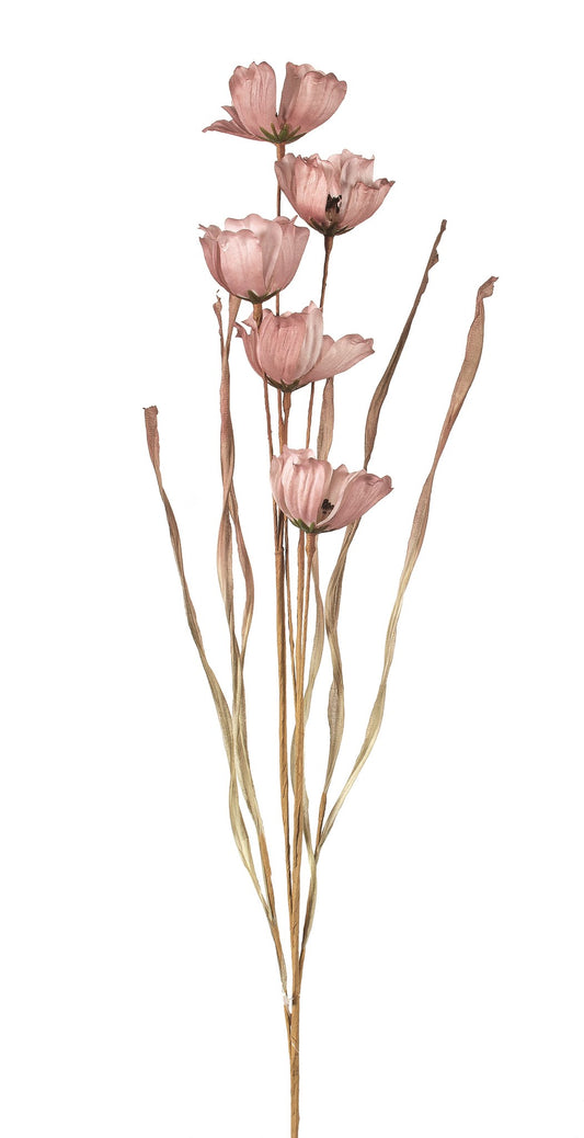 Plum poppy flower with grass spray