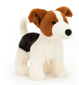 Albert the Jack Russell