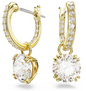Stilla Drop Gold Earrings Swarovski 5689686