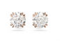 Constella Stud Rose Earrings Swarovski 5648994