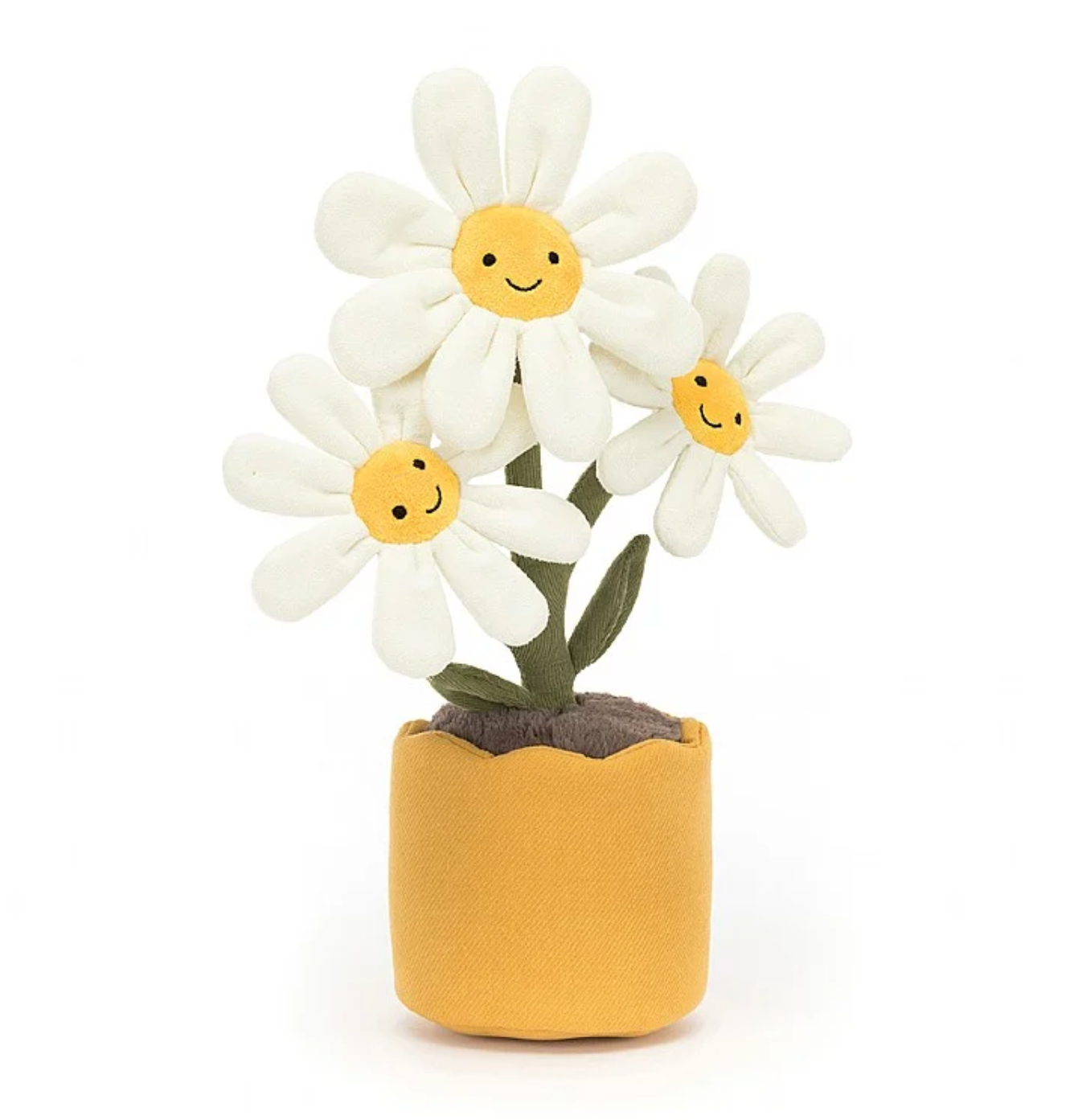 Amuseable Daisy