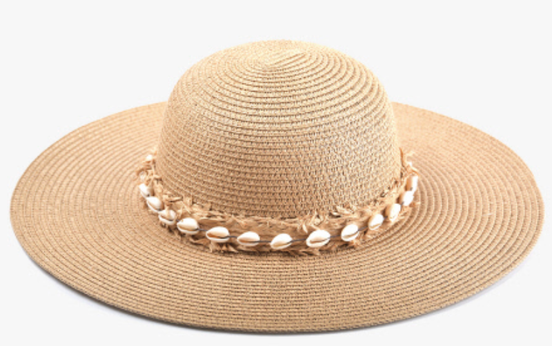 Dion Wide Brim Straw Hat