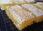 Honey Collingwood Farm