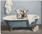 Bathtub Goats Artwork