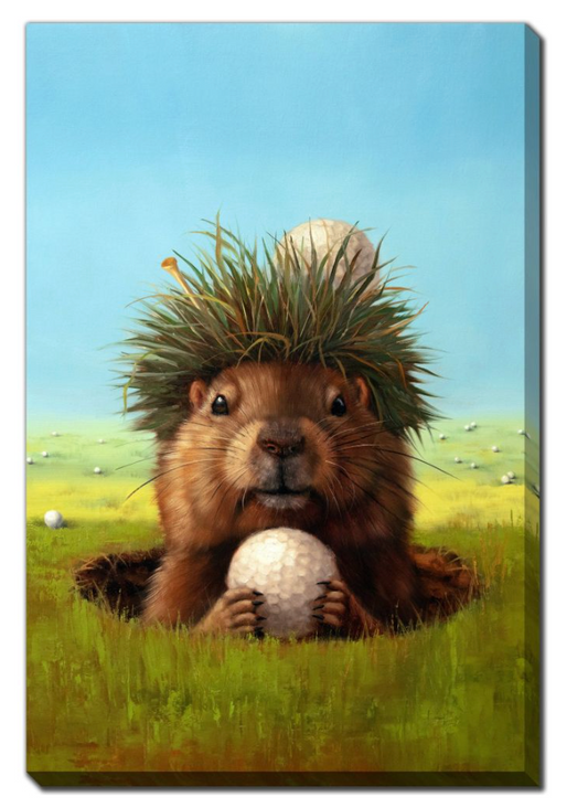 Ball Hog 16x20 With Floating Frame