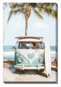 Coastline Cruiser 24x36