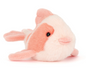 Fancy Carp