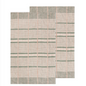 Willow Finley Check Dishtowels Set of 2