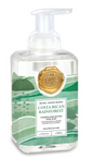 Michel Foamer Soap