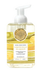Michel Foamer Soap