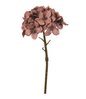Pick Plum Hydrangea