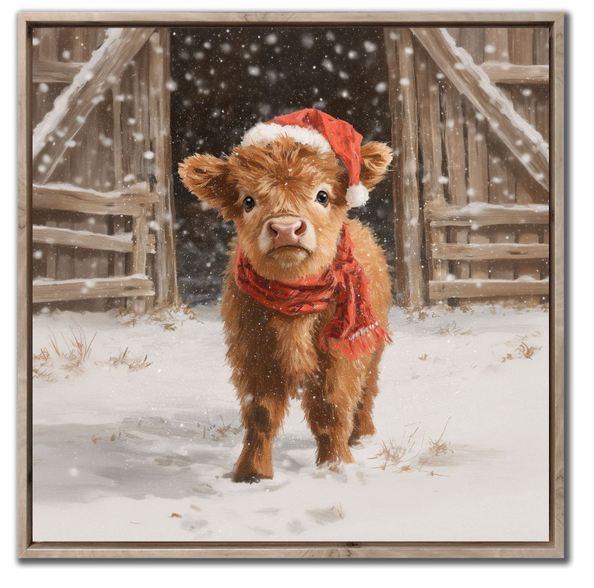 Highland Calf Santa
