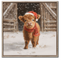 Highland Calf Santa